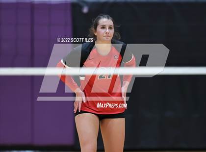Thumbnail 1 in Unioto vs. Circleville (OHSAA D2 District) photogallery.