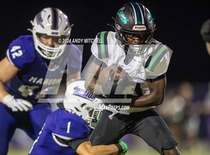 Thumbnail 1 in East Hamilton @ Marion County photogallery.