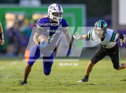Thumbnail 3 in East Hamilton @ Marion County photogallery.