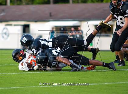 Thumbnail 3 in New Hanover @ Havelock photogallery.