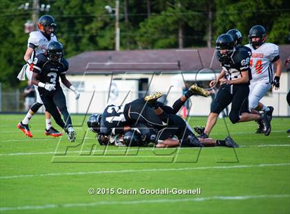 Thumbnail 1 in New Hanover @ Havelock photogallery.