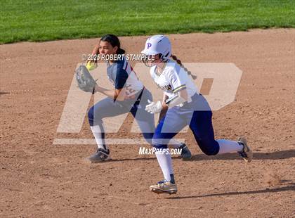 Thumbnail 3 in Plum @ Shaler Area photogallery.