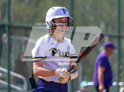 Thumbnail 3 in Plum @ Shaler Area photogallery.