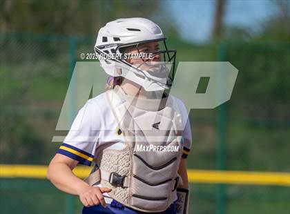 Thumbnail 1 in Plum @ Shaler Area photogallery.