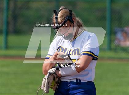 Thumbnail 3 in Plum @ Shaler Area photogallery.