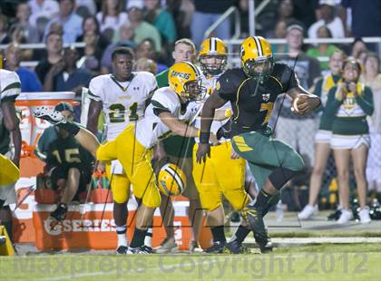 Thumbnail 1 in Glades Day @ Yulee photogallery.