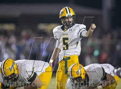 Thumbnail 2 in Glades Day @ Yulee photogallery.