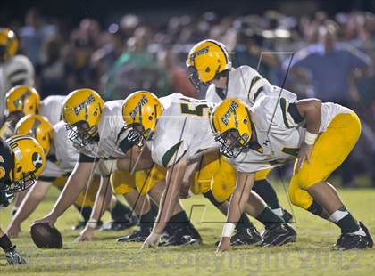 Thumbnail 3 in Glades Day @ Yulee photogallery.