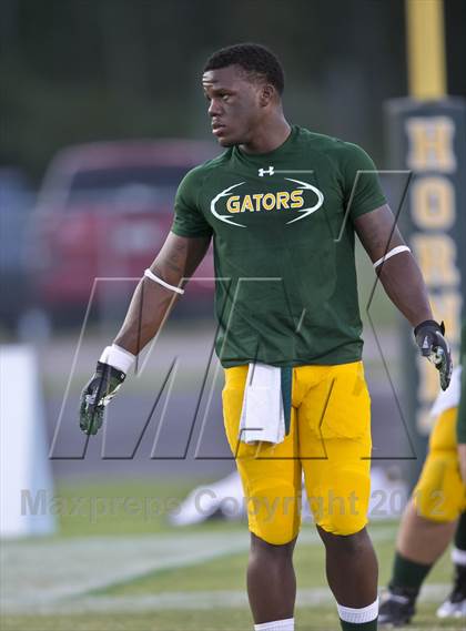 Thumbnail 1 in Glades Day @ Yulee photogallery.