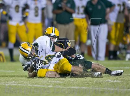 Thumbnail 2 in Glades Day @ Yulee photogallery.