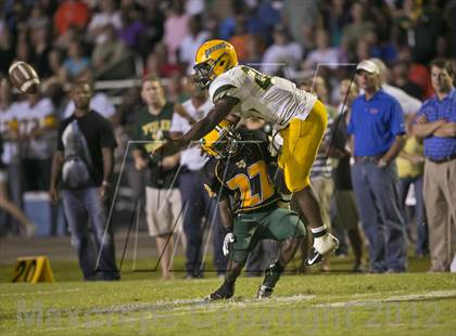 Thumbnail 3 in Glades Day @ Yulee photogallery.