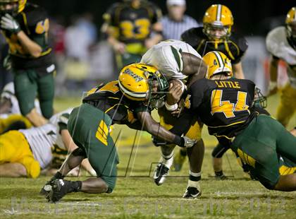 Thumbnail 2 in Glades Day @ Yulee photogallery.