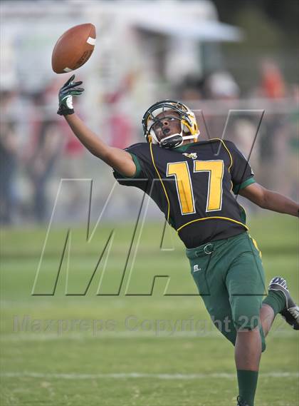 Thumbnail 2 in Glades Day @ Yulee photogallery.