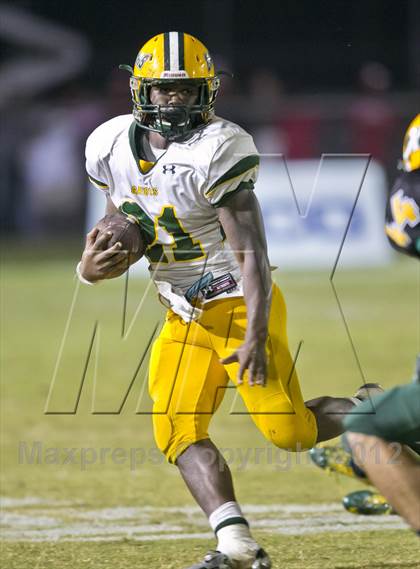 Thumbnail 1 in Glades Day @ Yulee photogallery.