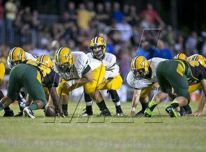 Thumbnail 2 in Glades Day @ Yulee photogallery.