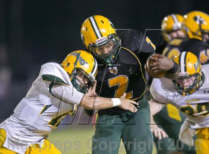 Thumbnail 3 in Glades Day @ Yulee photogallery.