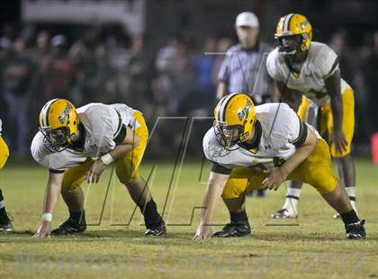 Thumbnail 1 in Glades Day @ Yulee photogallery.