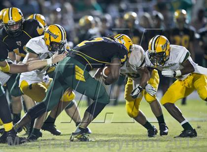 Thumbnail 1 in Glades Day @ Yulee photogallery.
