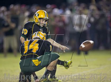 Thumbnail 2 in Glades Day @ Yulee photogallery.