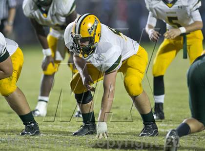 Thumbnail 3 in Glades Day @ Yulee photogallery.