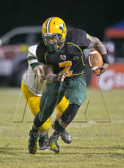 Thumbnail 2 in Glades Day @ Yulee photogallery.