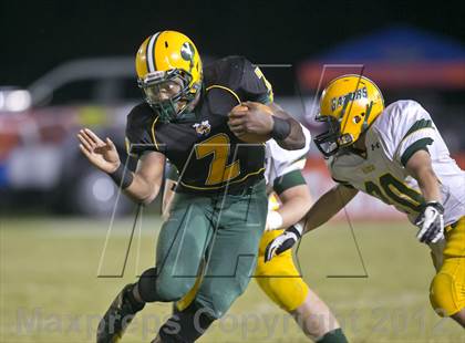 Thumbnail 3 in Glades Day @ Yulee photogallery.