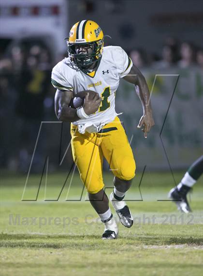 Thumbnail 2 in Glades Day @ Yulee photogallery.