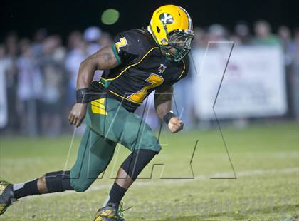 Thumbnail 3 in Glades Day @ Yulee photogallery.