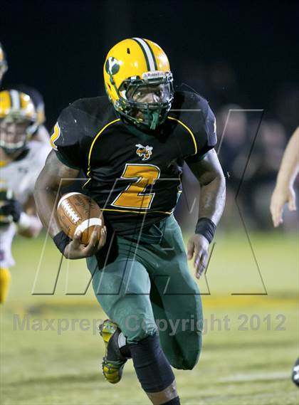Thumbnail 3 in Glades Day @ Yulee photogallery.