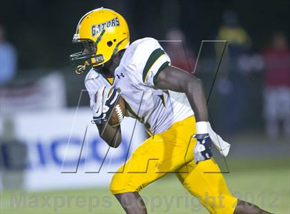 Thumbnail 3 in Glades Day @ Yulee photogallery.