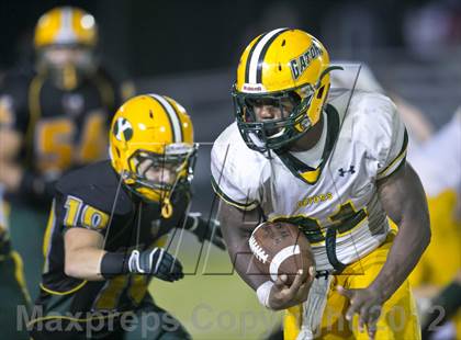 Thumbnail 1 in Glades Day @ Yulee photogallery.