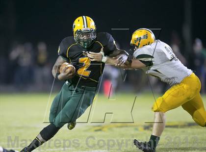 Thumbnail 3 in Glades Day @ Yulee photogallery.
