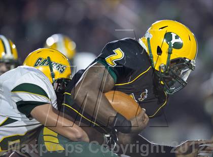 Thumbnail 2 in Glades Day @ Yulee photogallery.