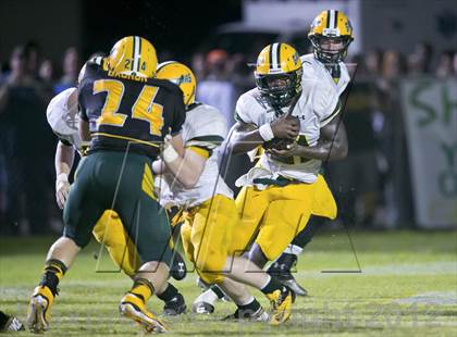 Thumbnail 2 in Glades Day @ Yulee photogallery.