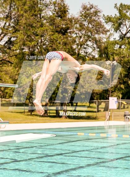 Thumbnail 2 in Diving CIF NCS Final (Tamalpais) photogallery.
