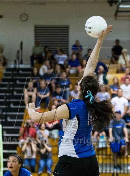 Thumbnail 1 in Newsome @ Riverview photogallery.