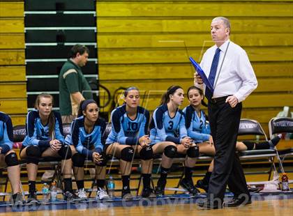 Thumbnail 3 in Newsome @ Riverview photogallery.