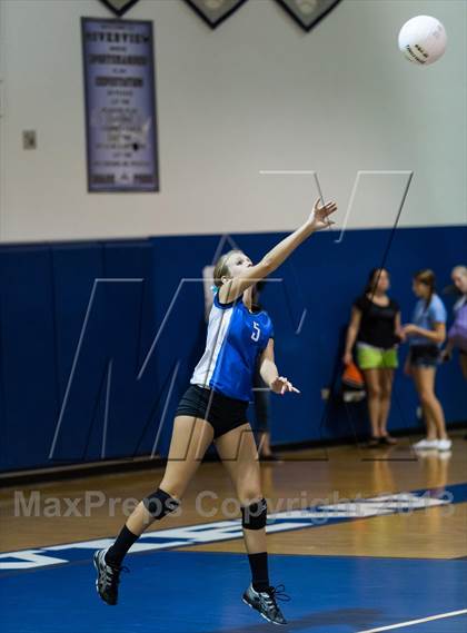 Thumbnail 3 in Newsome @ Riverview photogallery.