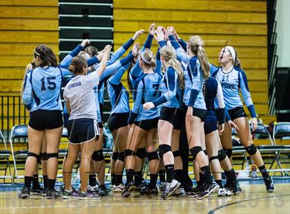 Thumbnail 2 in Newsome @ Riverview photogallery.