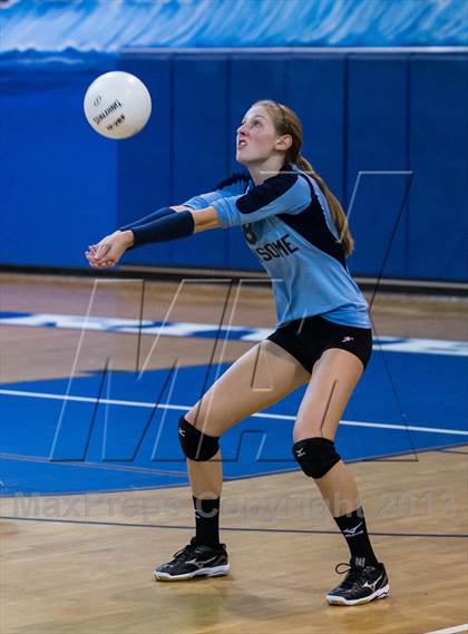 Thumbnail 1 in Newsome @ Riverview photogallery.