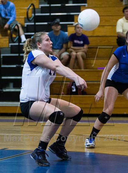 Thumbnail 2 in Newsome @ Riverview photogallery.