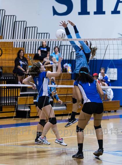 Thumbnail 3 in Newsome @ Riverview photogallery.