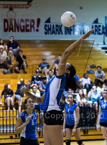 Thumbnail 3 in Newsome @ Riverview photogallery.