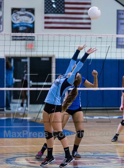 Thumbnail 2 in Newsome @ Riverview photogallery.