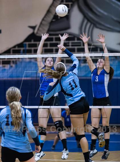 Thumbnail 2 in Newsome @ Riverview photogallery.