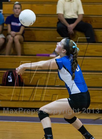 Thumbnail 3 in Newsome @ Riverview photogallery.