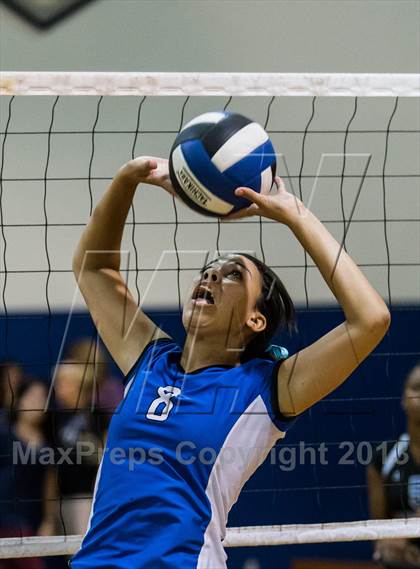 Thumbnail 3 in Newsome @ Riverview photogallery.