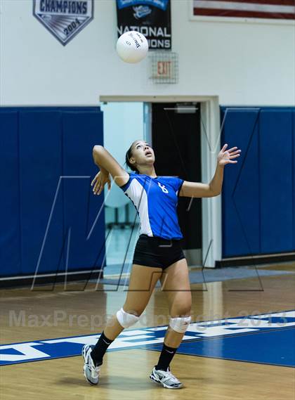Thumbnail 3 in Newsome @ Riverview photogallery.
