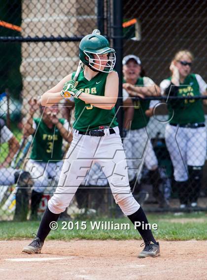 Thumbnail 2 in Kingston vs.  Roosevelt (Section 9 Class AA Final) photogallery.