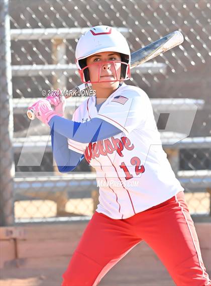 Thumbnail 2 in Antelope @ Desert Heights Prep photogallery.